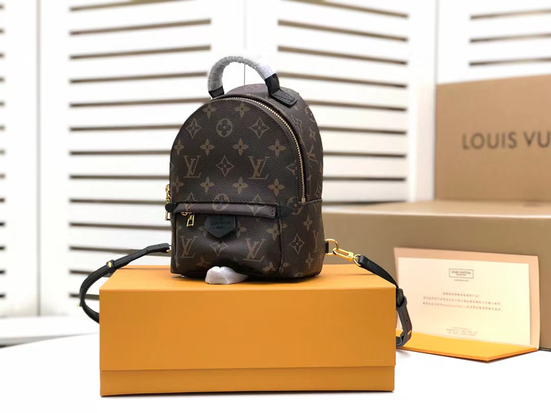 Louis Vuitton Palm Springs Mini Monogram Canvas By Nicolas Ghesquière For Women, Women’s Handbags 22cm LV M44873