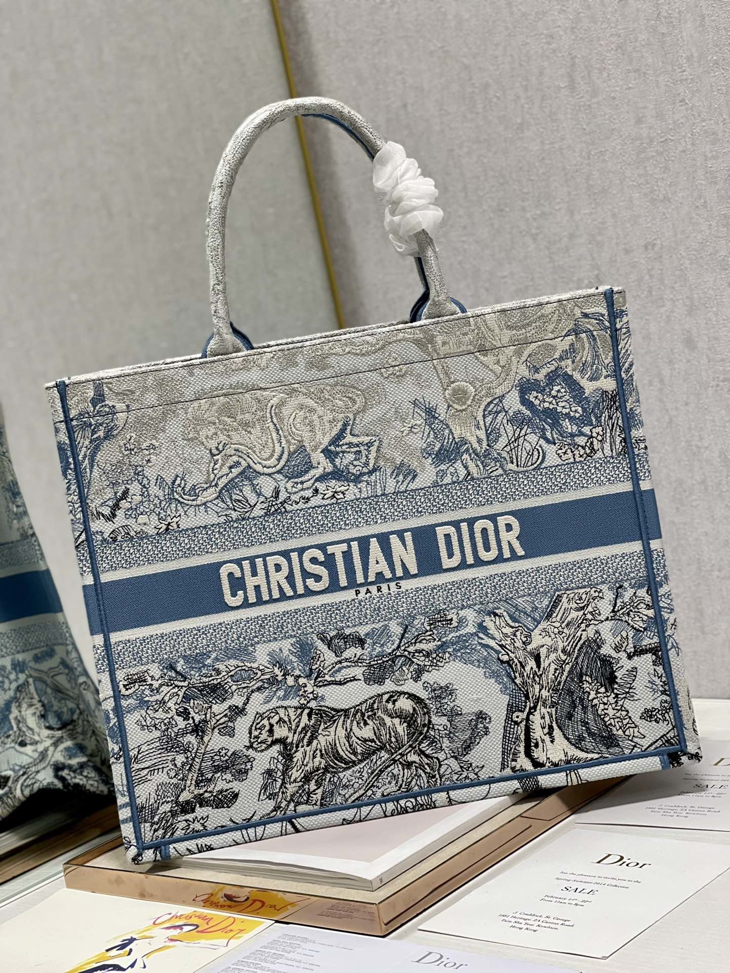 Christian Dior Large Book Tote Bag Blue For Women 42cm/16in CD