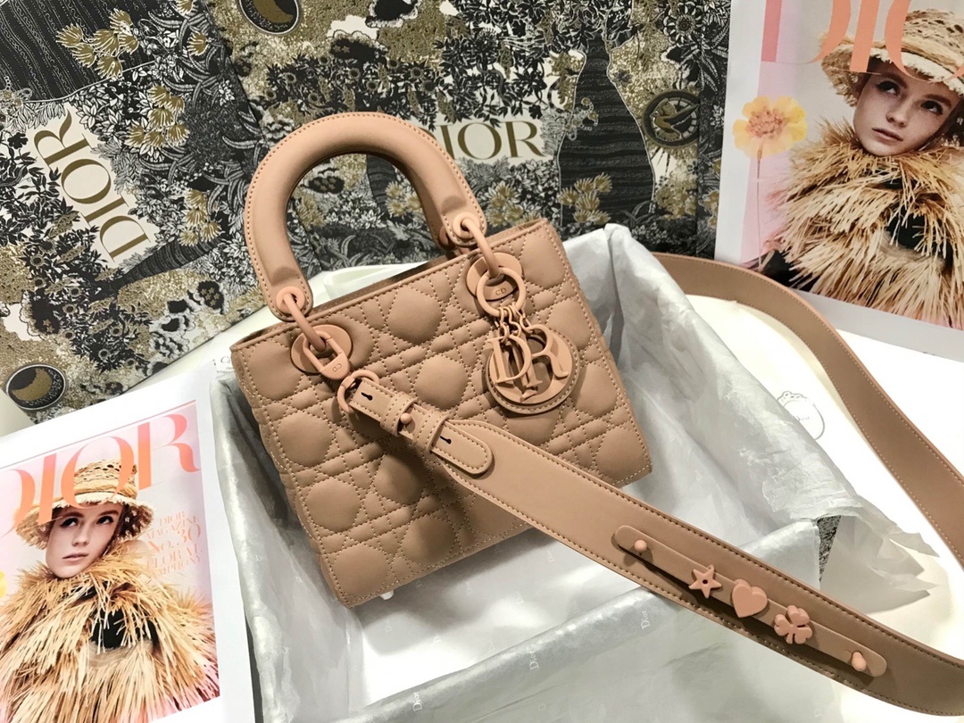 Christian Dior Smal Lady Dior My ABCDior Bag Brown For Women 8in/20cm CD